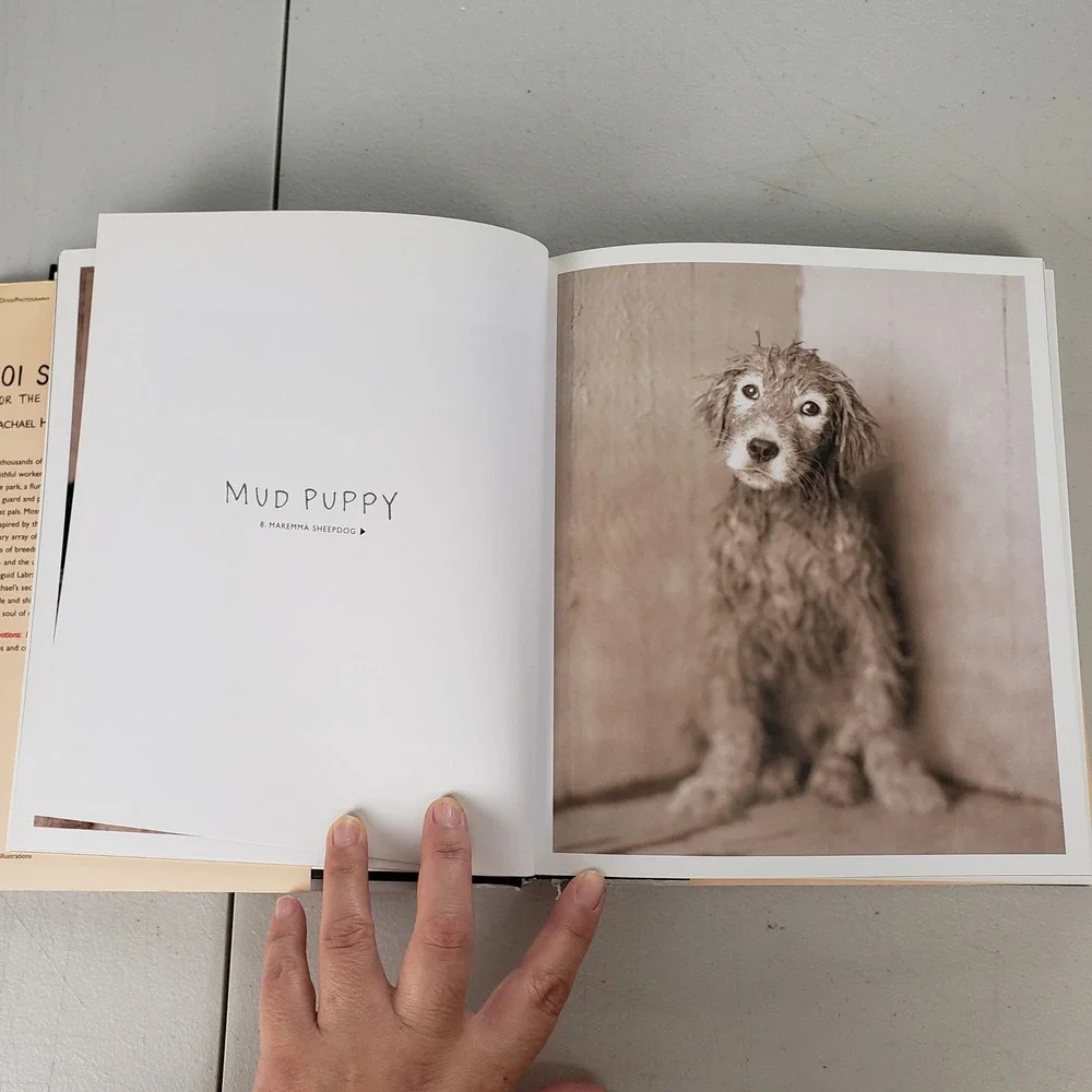 101 Salivations For the Love of Dogs Rachael Hale Hardcover Photography Book